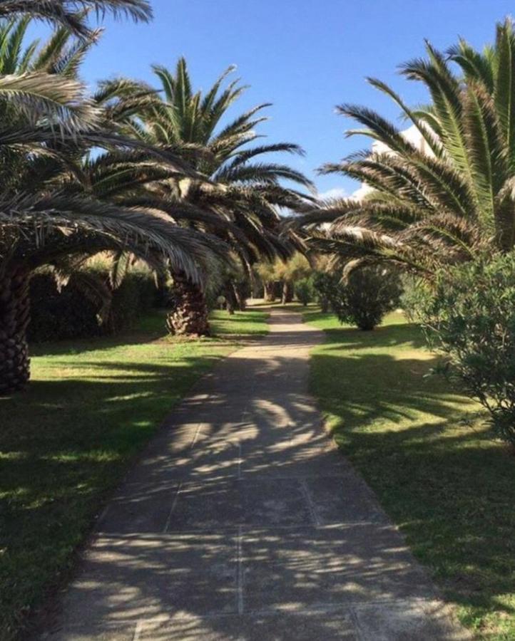 Rez De Jardin + Terrasse Piscine Et Acces Direct Plage Apartman Saint-Cyprien  Kültér fotó