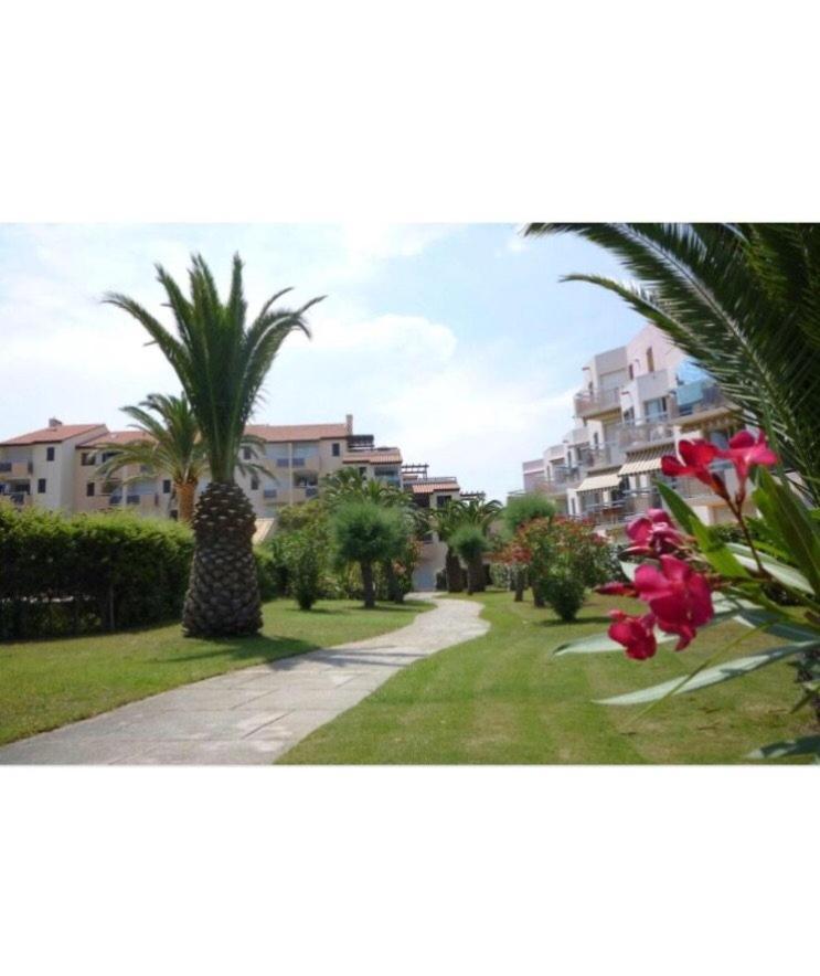 Rez De Jardin + Terrasse Piscine Et Acces Direct Plage Apartman Saint-Cyprien  Kültér fotó